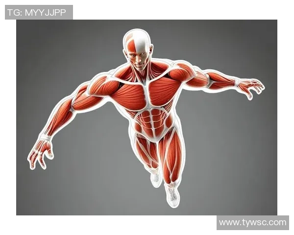 篮球竞技与文化的深度融合探索：从街头到赛场的演变与未来发展趋势